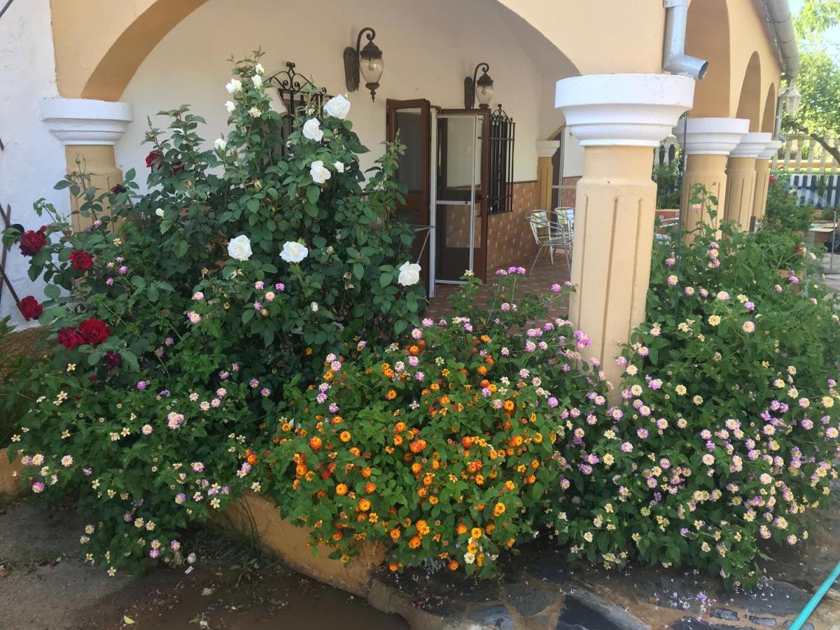 Finca La Rosalia Setenil De Las Bodegas Екстериор снимка